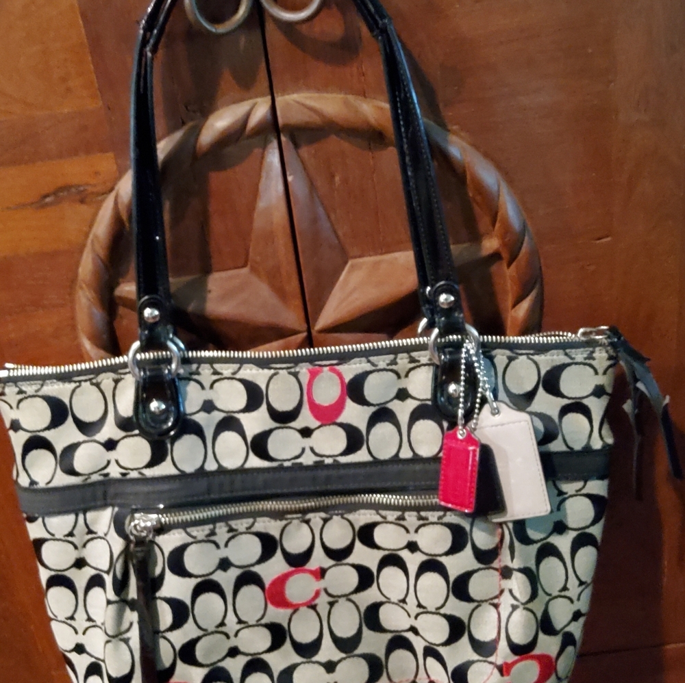 Coach Poppy Bag 21188